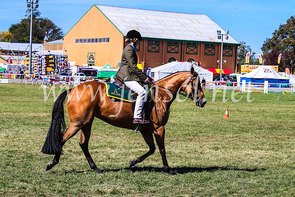 BathurstShow2017Fri_0723