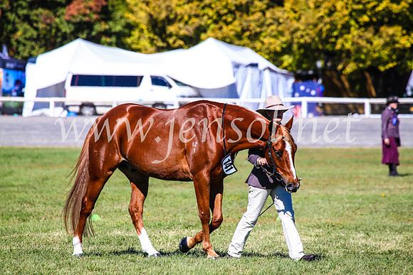 BathurstShow2017Fri_0300