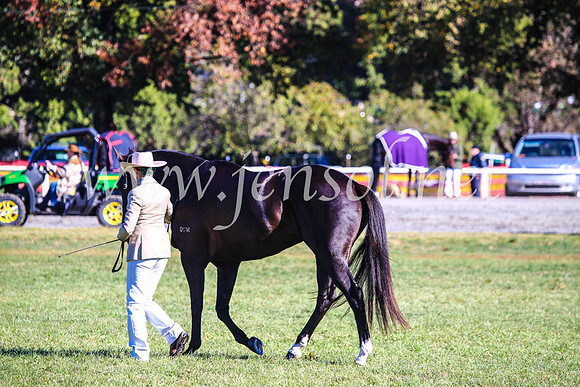 BathurstShow2017Fri_0013