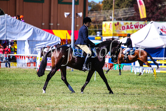 BathurstShow2017Fri_0464