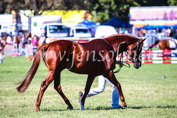 BathurstShow2017Fri_0314