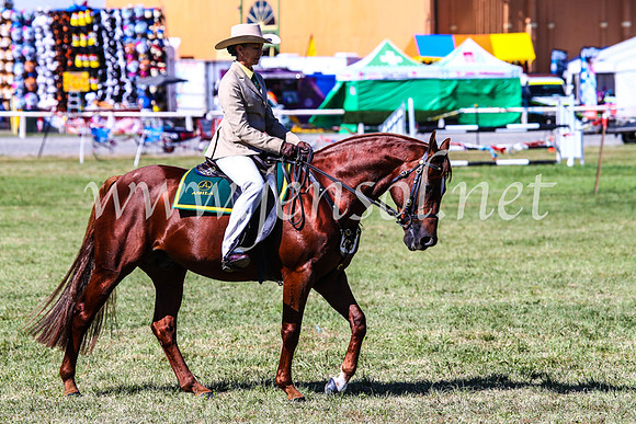 BathurstShow2017Fri_0716
