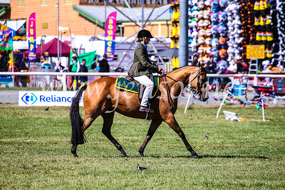 BathurstShow2017Fri_0758