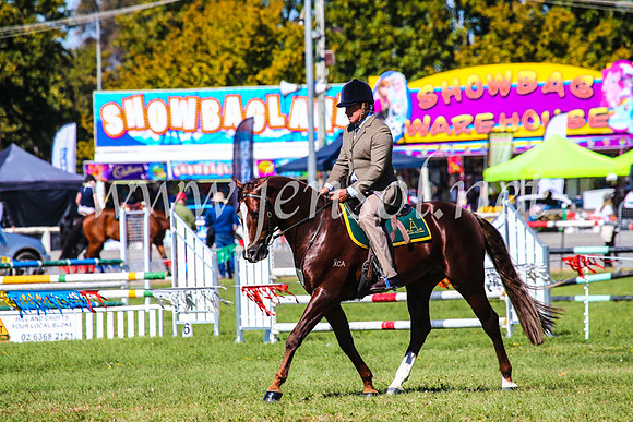 BathurstShow2017Fri_0639