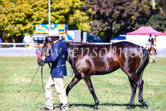 BathurstShow2017Fri_0321