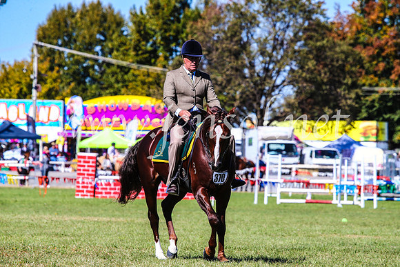 BathurstShow2017Fri_0496