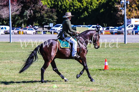 BathurstShow2017Fri_1011