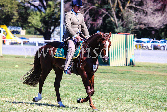 BathurstShow2017Fri_0675