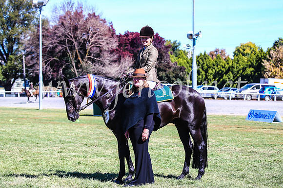 BathurstShow2017Fri_0578