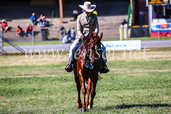 BathurstShow2017Fri_0709