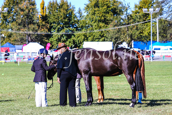 BathurstShow2017Fri_0251