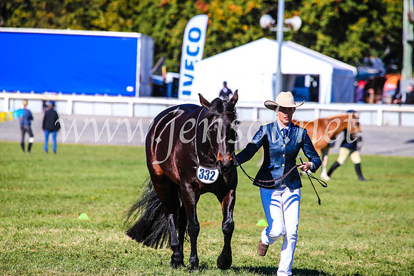 BathurstShow2017Fri_0177