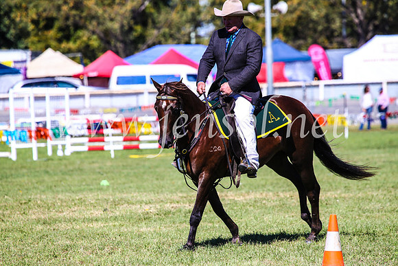 BathurstShow2017Fri_0667