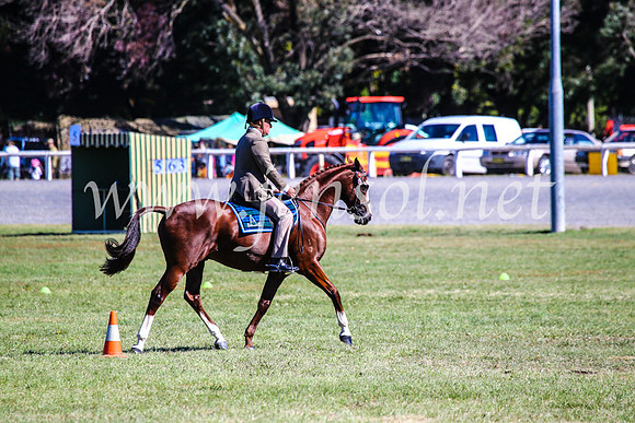 BathurstShow2017Fri_0939