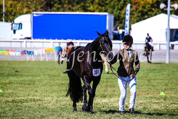 BathurstShow2017Fri_0192