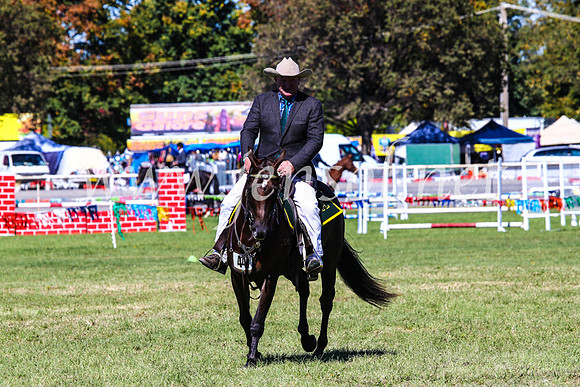 BathurstShow2017Fri_0671