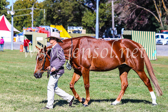 BathurstShow2017Fri_0140
