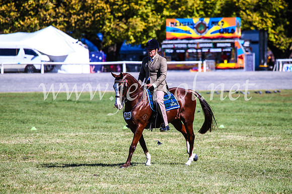 BathurstShow2017Fri_0956