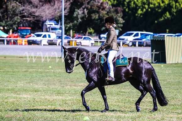 BathurstShow2017Fri_0854