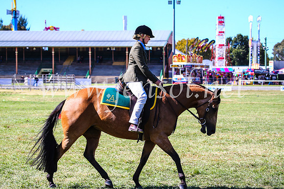 BathurstShow2017Fri_0459
