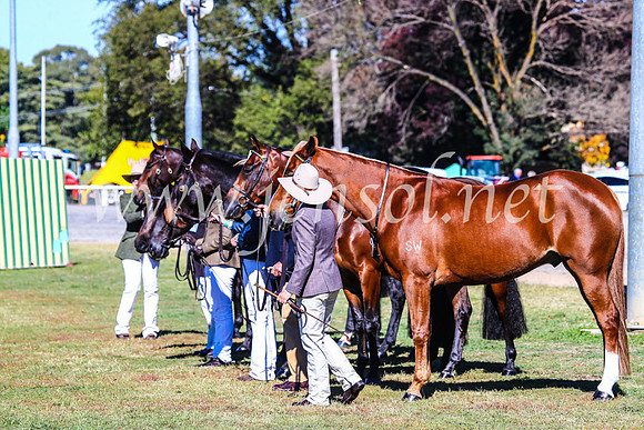 BathurstShow2017Fri_0242