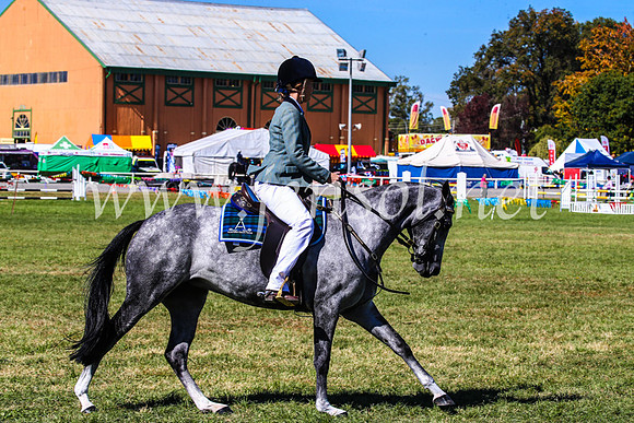 BathurstShow2017Fri_0755