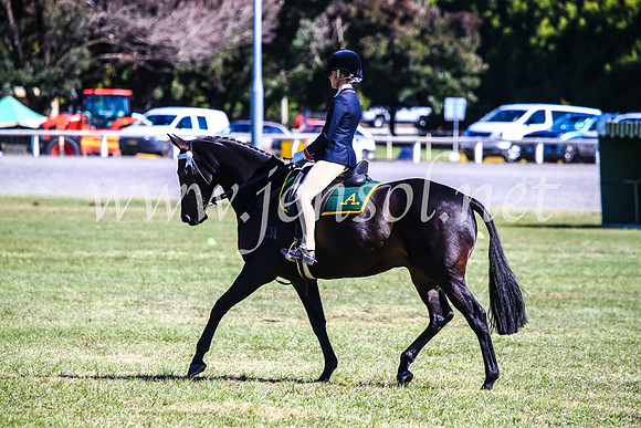 BathurstShow2017Fri_0918