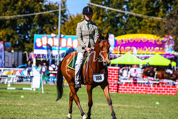BathurstShow2017Fri_0474