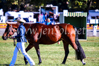 BathurstShow2017Fri_0014