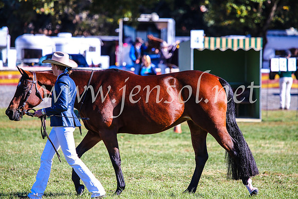 BathurstShow2017Fri_0014