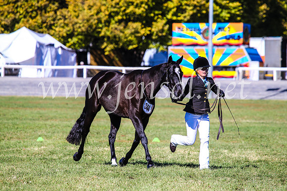 BathurstShow2017Fri_0103