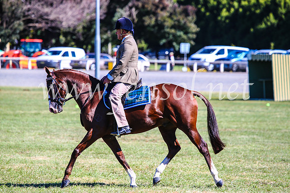 BathurstShow2017Fri_0949