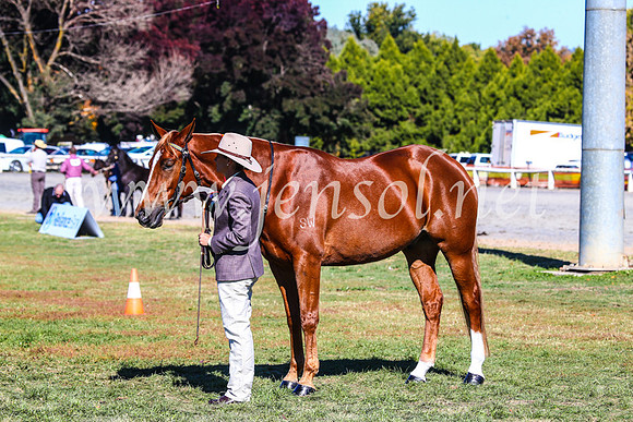 BathurstShow2017Fri_0249