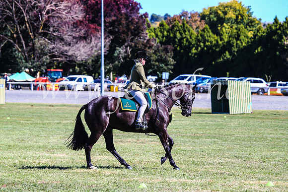 BathurstShow2017Fri_0887