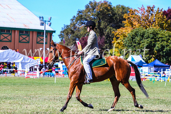 BathurstShow2017Fri_0475