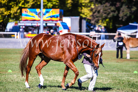 BathurstShow2017Fri_0148
