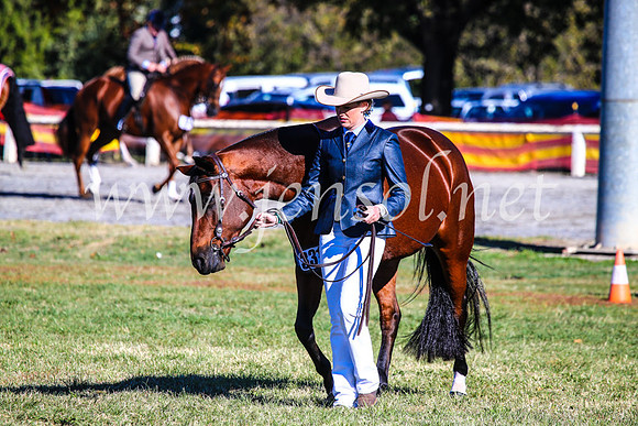BathurstShow2017Fri_0018