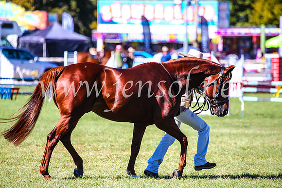 BathurstShow2017Fri_0305