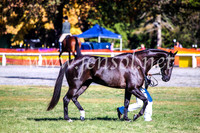 BathurstShow2017Fri_0027