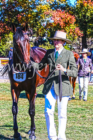 BathurstShow2017Fri_0128