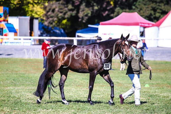 BathurstShow2017Fri_0291