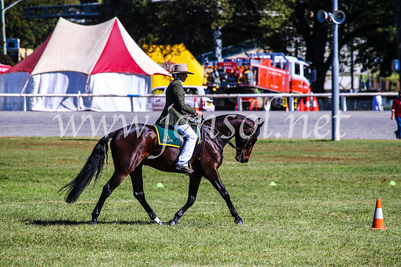 BathurstShow2017Fri_0978