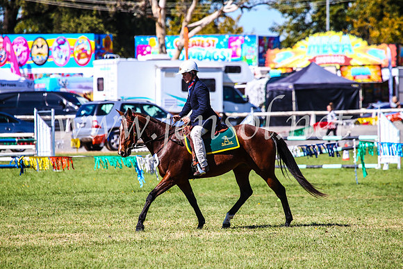 BathurstShow2017Fri_0461