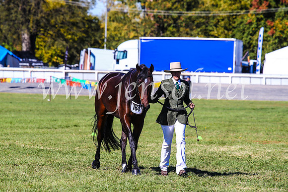 BathurstShow2017Fri_0228