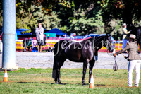 BathurstShow2017Fri_0064