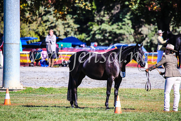 BathurstShow2017Fri_0064