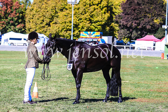 BathurstShow2017Fri_0178
