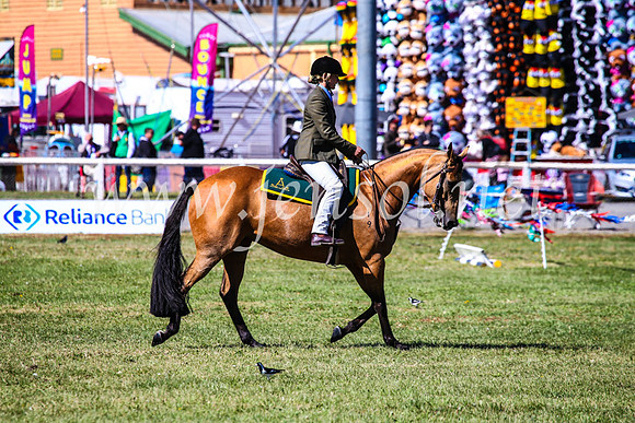 BathurstShow2017Fri_0757