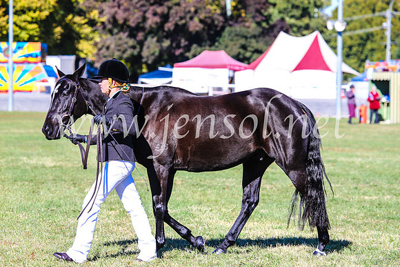BathurstShow2017Fri_0098
