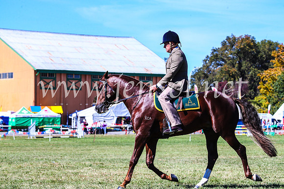 BathurstShow2017Fri_0499